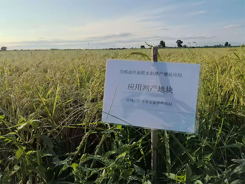 耒阳市东湖竹醋液水稻增产项目