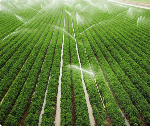 20260626105234821376.jpg