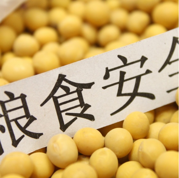 全年粮食产量或将再创历史新高