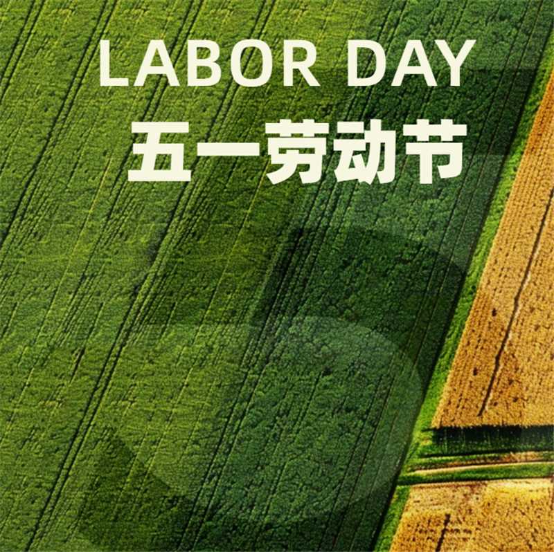 国基亿龙 | 致敬每一位辛勤付出的劳动者