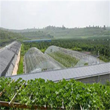 陕西推广软体集雨水窖水肥一体化技术，推动节水农业发展